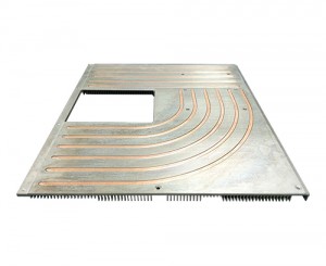 Heat pipe thermal module